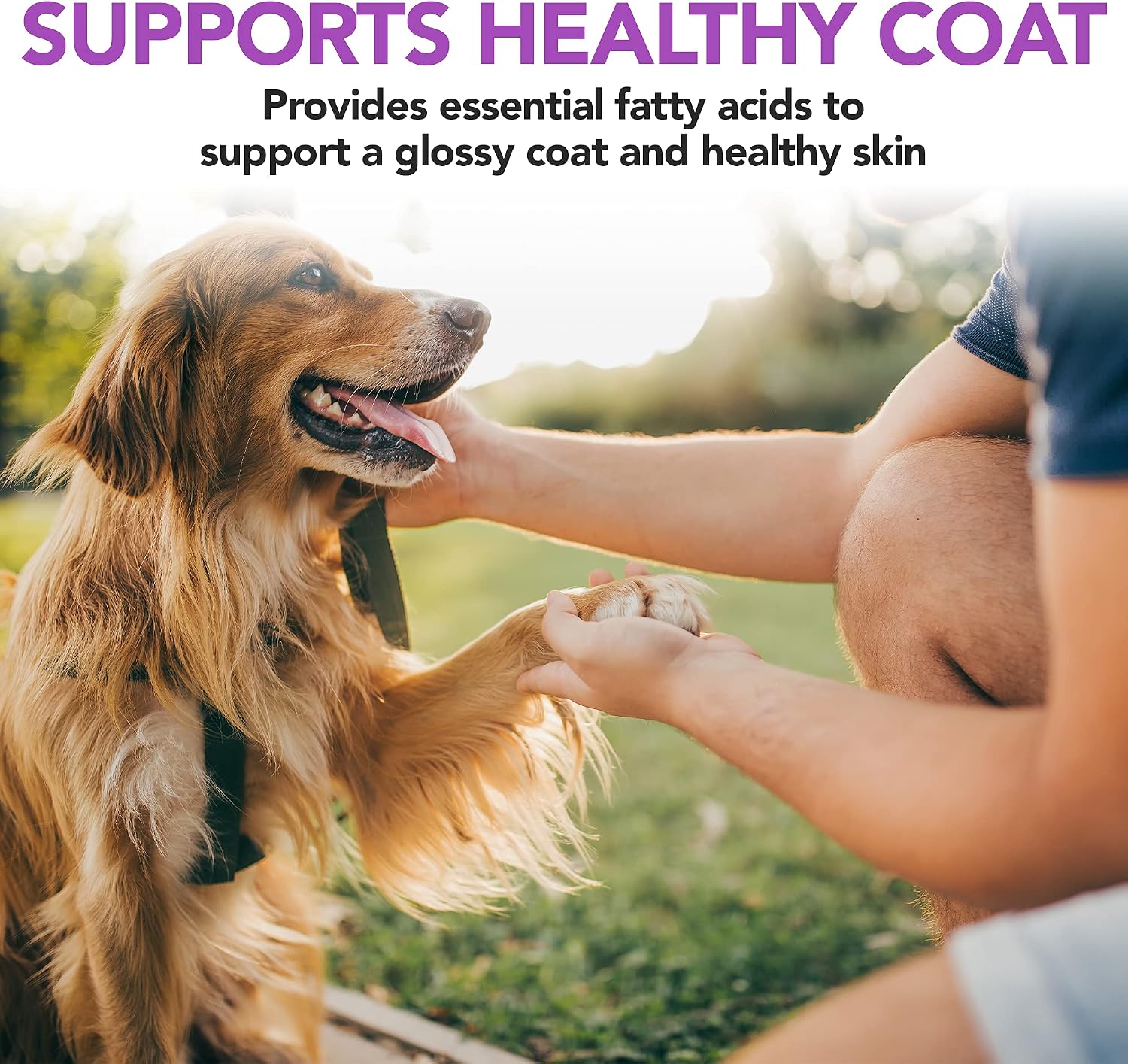 Vet’s Best Brewer’s Yeast & Garlic Chews for Dogs – Omega 3, 6 & 9 Skin & Coat Supplement, 60 Count