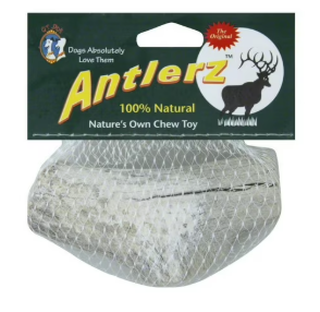QT Dog Natural Deer Antlerz Jumbo Dog Chew — image 1
