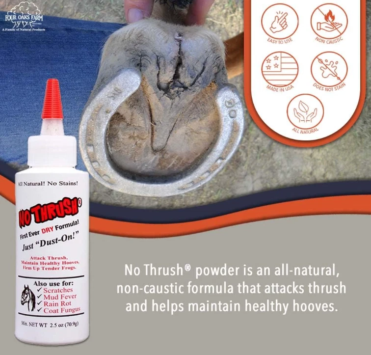No Thrush Dry Powder Horse Hoof Treatment – Thrush, Scratches & Rain Rot Care, 2.5 oz