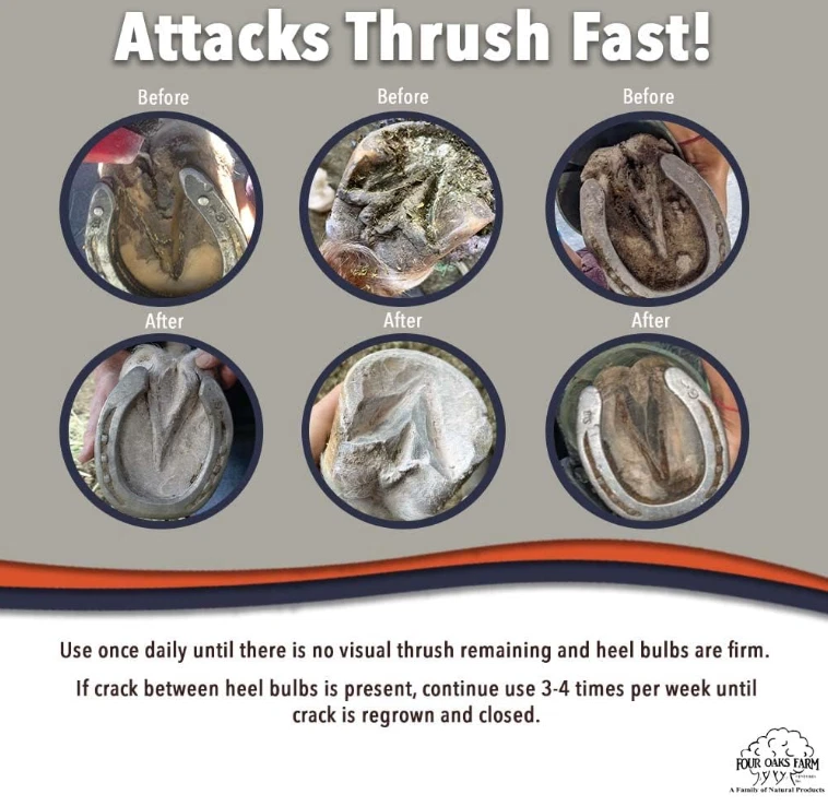 No Thrush Dry Powder Horse Hoof Treatment – Thrush, Scratches & Rain Rot Care, 2.5 oz