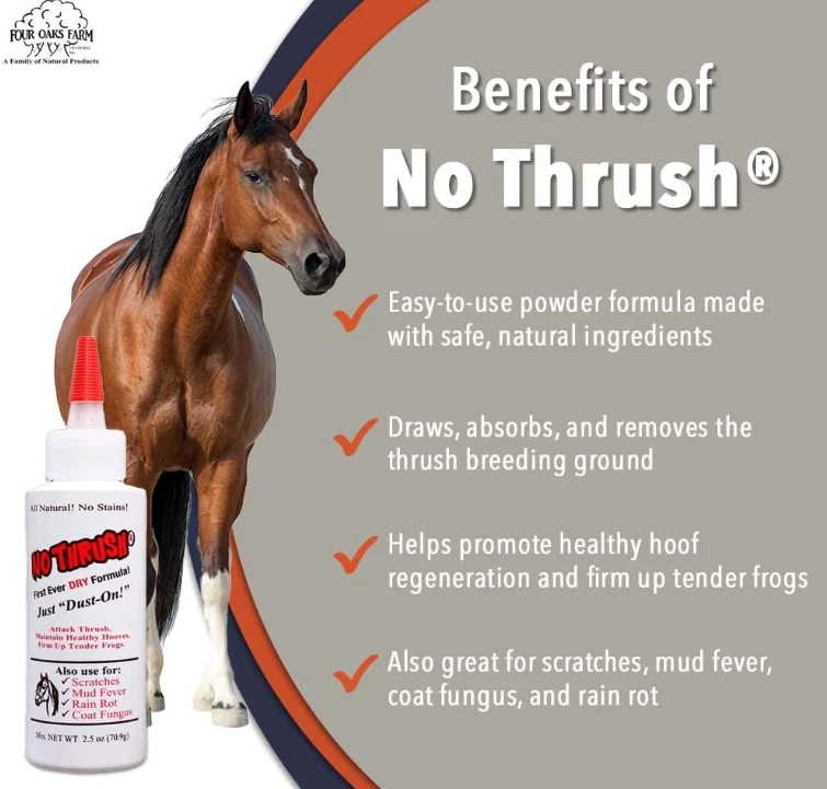 No Thrush Dry Powder Horse Hoof Treatment – Thrush, Scratches & Rain Rot Care, 2.5 oz