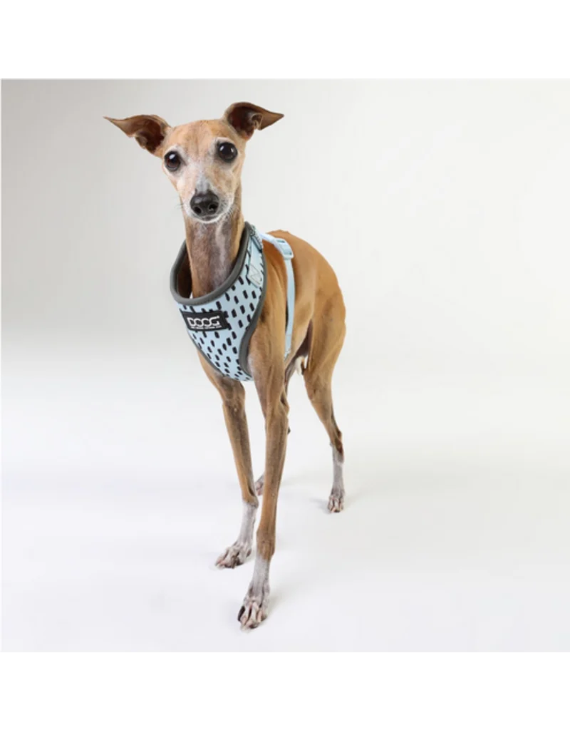 DOOG Neoflex Dog Harness DASH – Extra Large | Adjustable Dog Harness