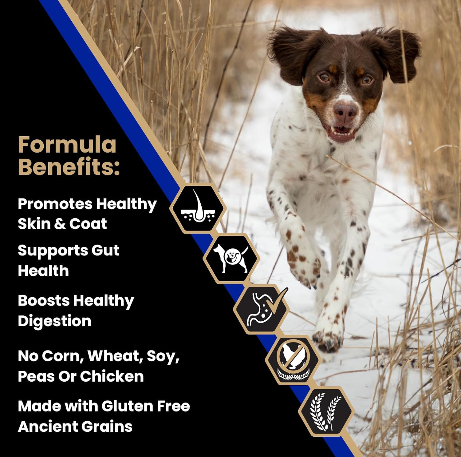 VICTOR Sensitive Skin & Stomach Beef Meal & Brown Rice Dog Food — image 2