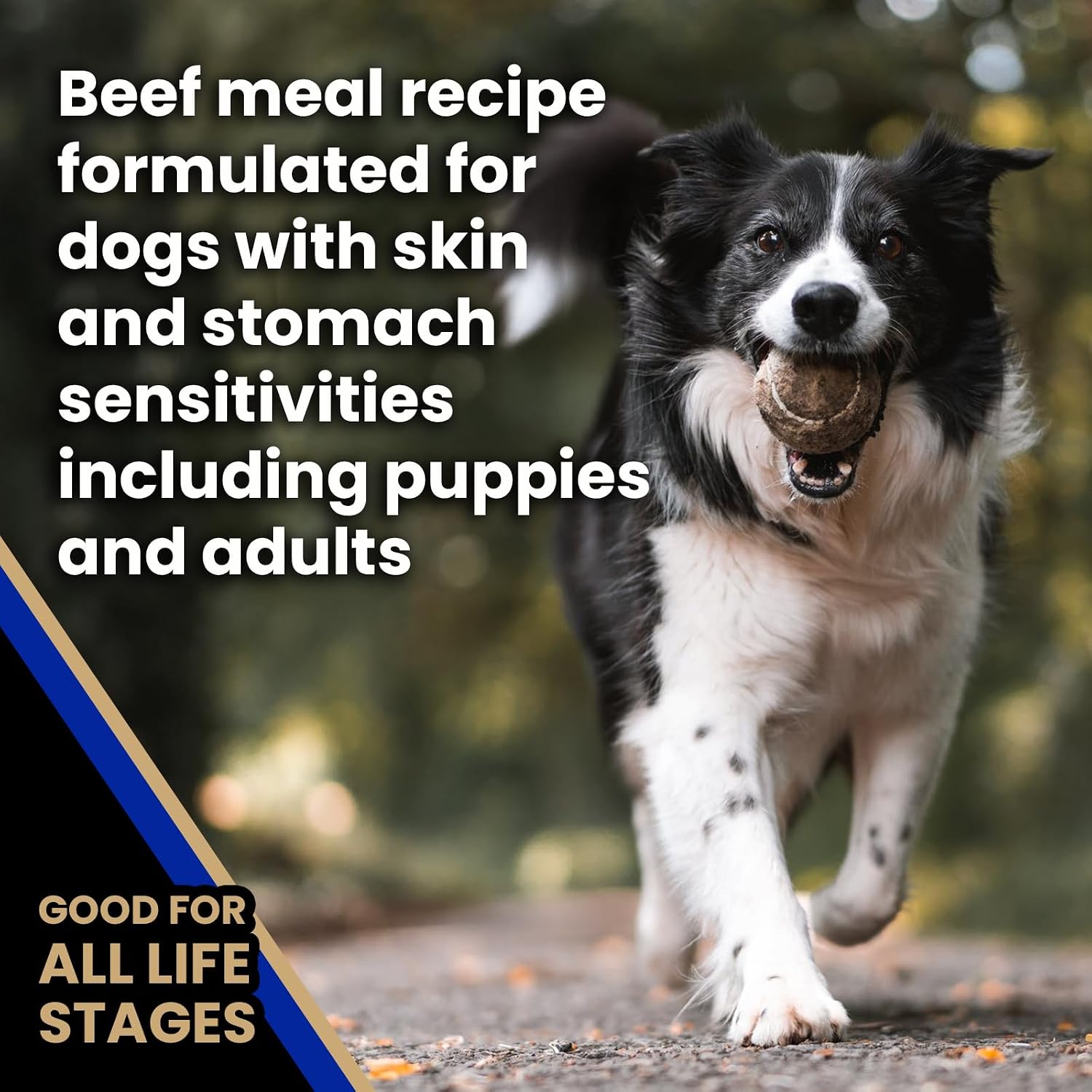 VICTOR Sensitive Skin & Stomach Beef Meal & Brown Rice Dog Food — image 4