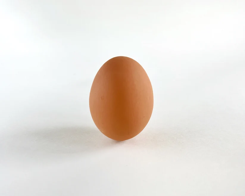 Ceramic Chicken Egg Brown (12)