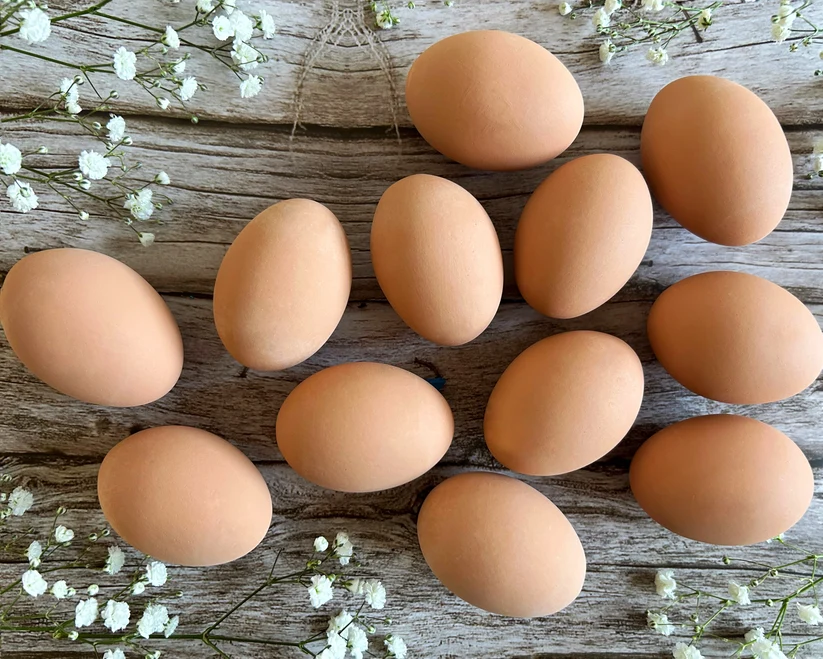 Ceramic Chicken Egg Brown (12)