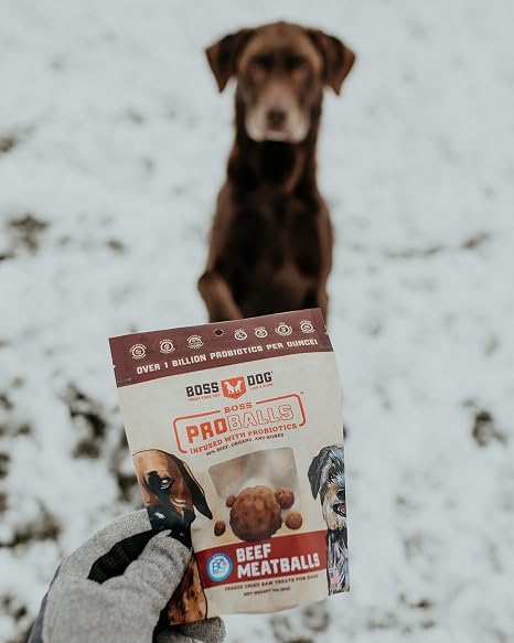 Boss Dog Proballs Treats (Dogs & Cats), Beef Recipe, 3 oz Bag